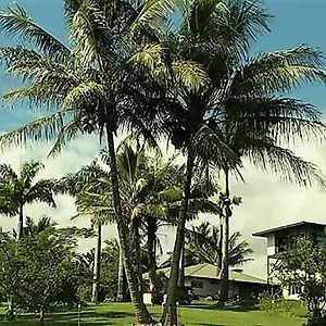 Island Goode's - Luxury Adult Only Near Hilo Guest house Papaikou